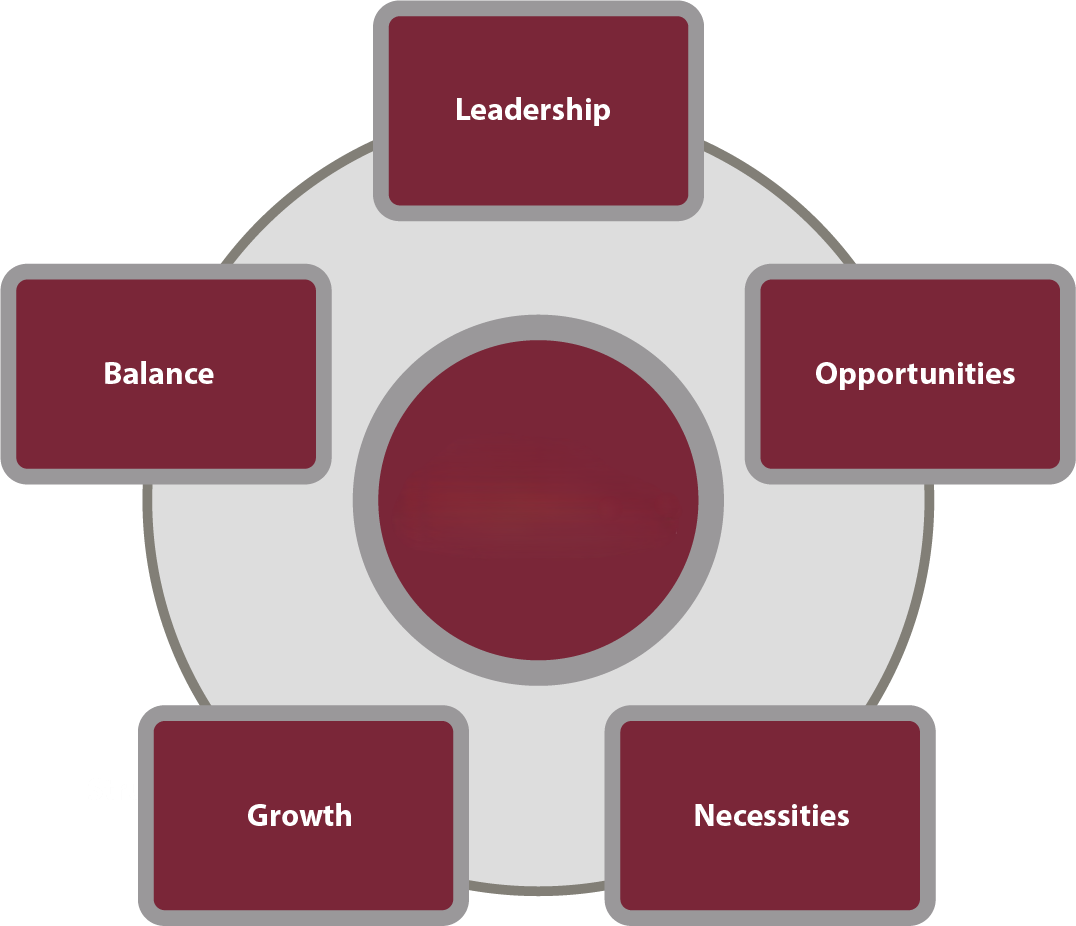 BLONG Framework Diagram of six spokes around a central circle with labels: Leadership, Balance, Opportunities, Growth, Necessities, and Strategy.