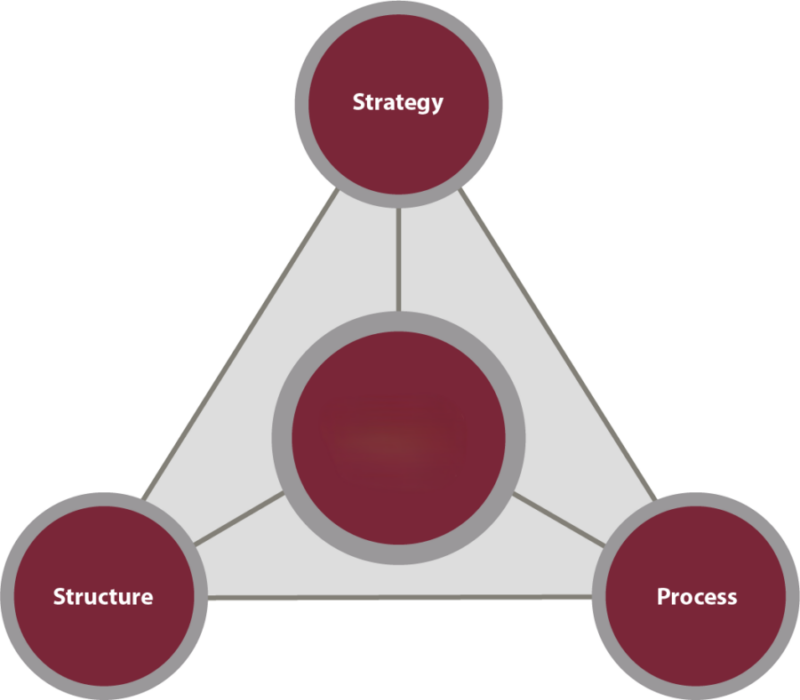 SSP Framework No Title OrgLeader SSP Framework